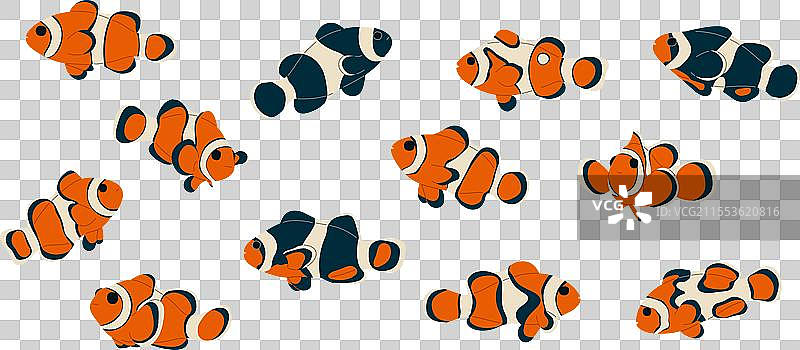 海葵鱼系列 1图片素材