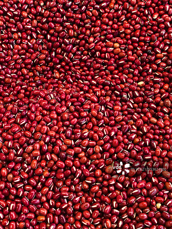 红豆——此物最相思图片素材