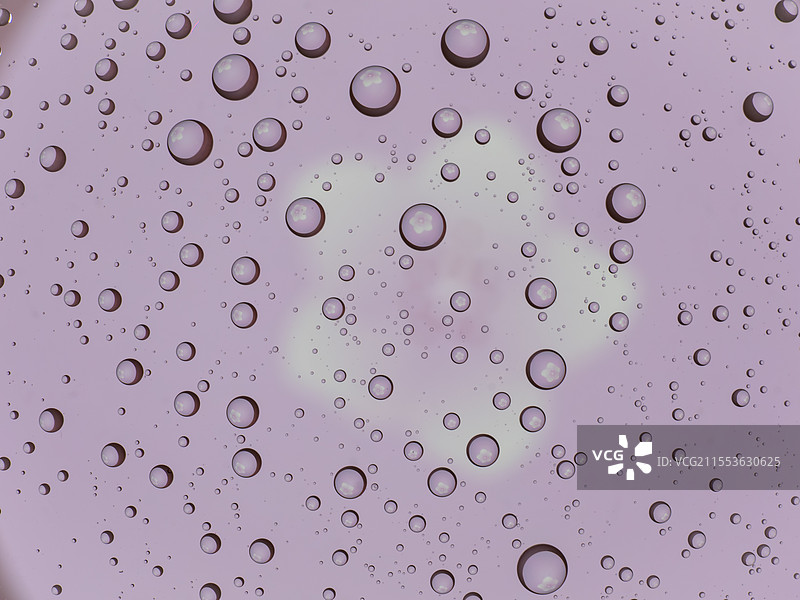 春日露珠图片素材