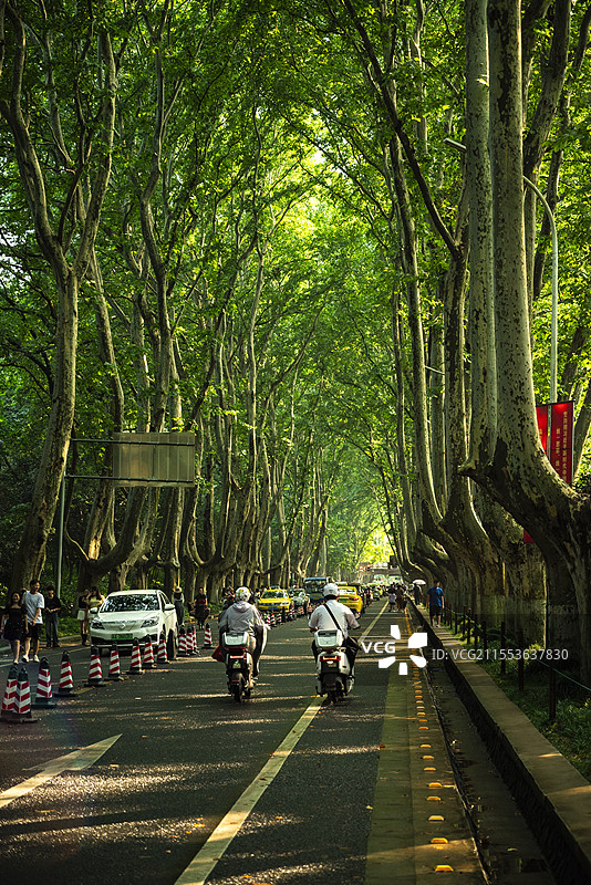 南京风光题材图片素材