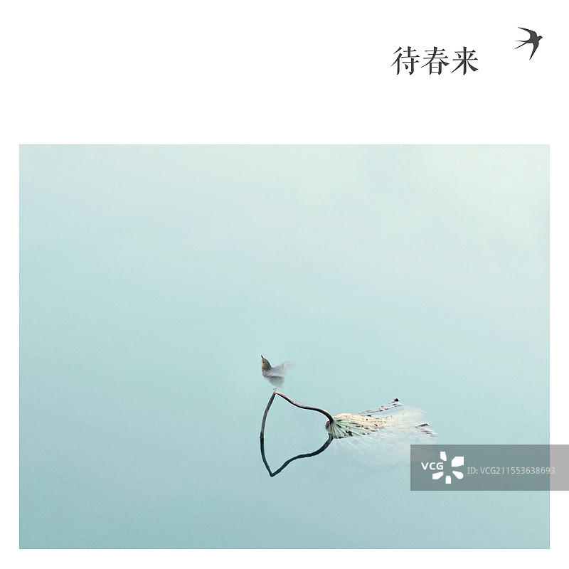 待春来武汉，东湖风景区图片素材