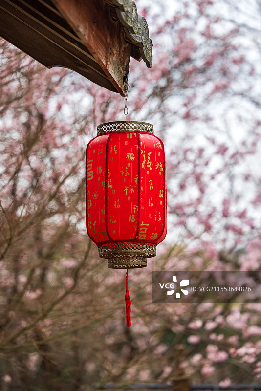 无锡鼋头渚风景区樱花背景下的大红灯笼美景图片素材