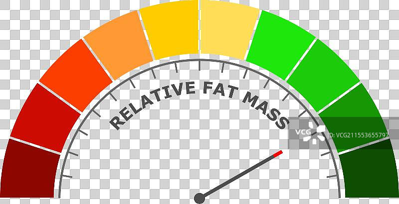 相对脂肪量在测量尺度上处于良好水平图片素材