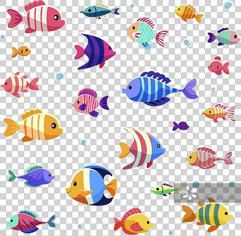 各种色彩斑斓的热带鱼在水中游动图片素材