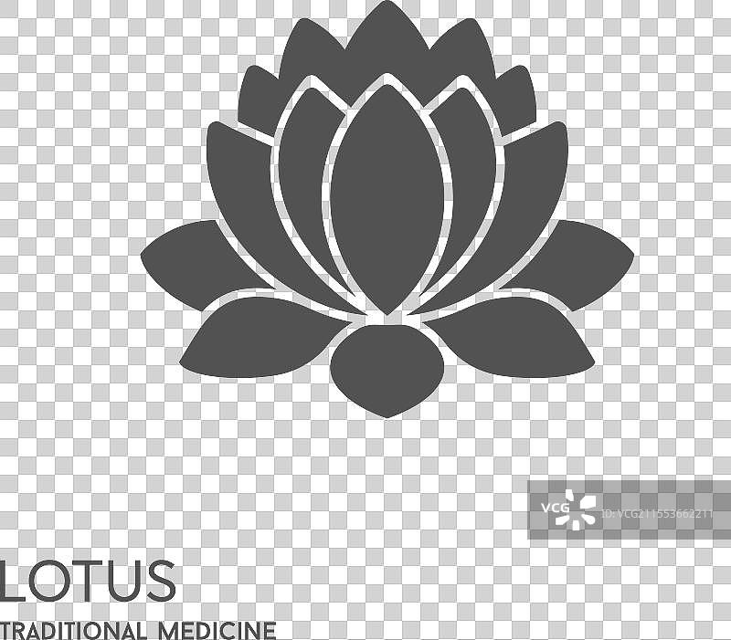 莲花平面图图片素材