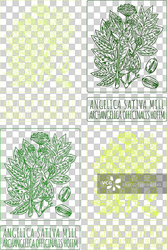 各种角豆磨粉机的绘图集图片素材