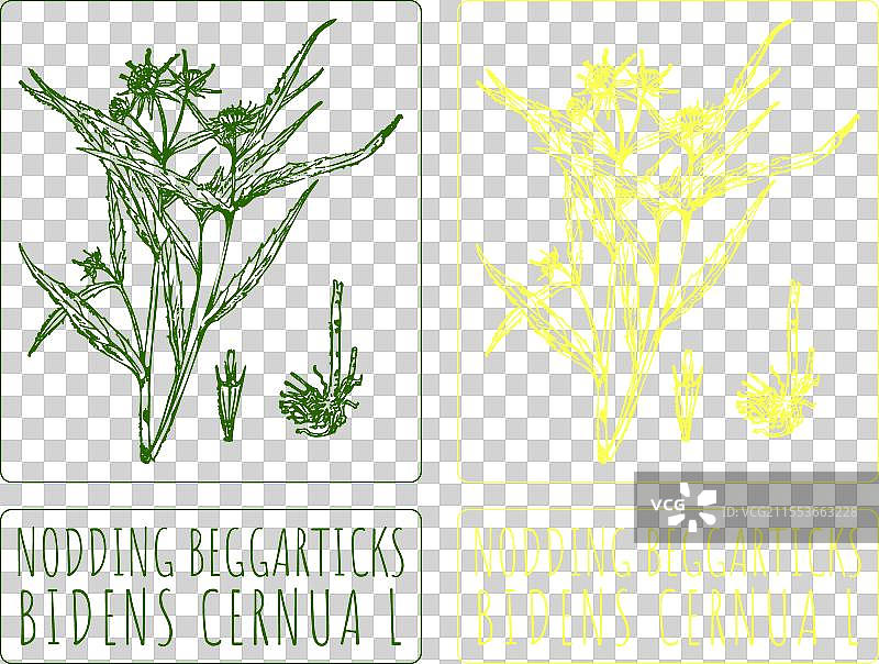 手绘的点头乞讨者图片素材