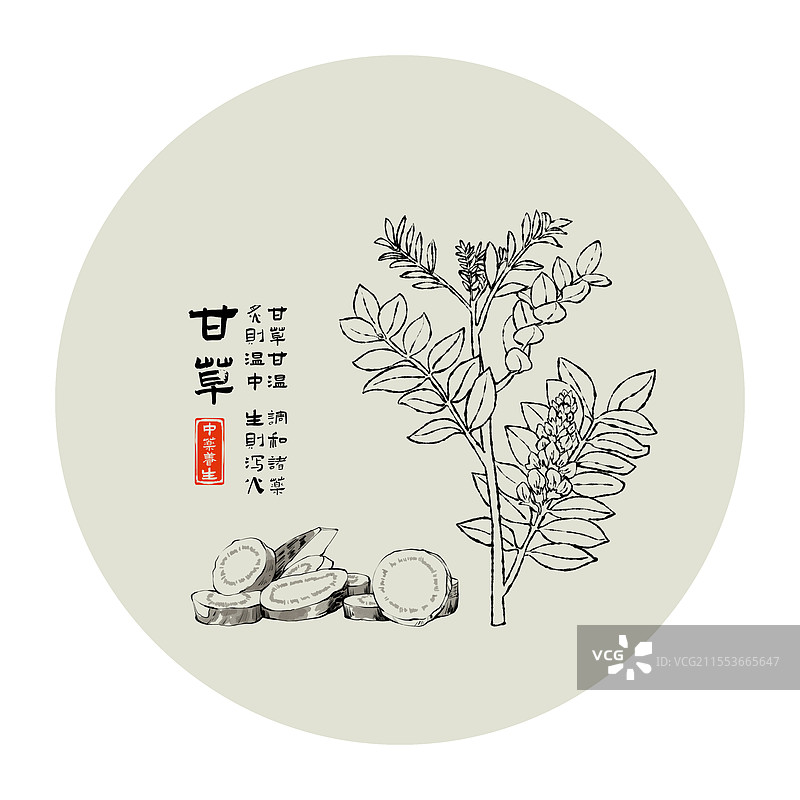 中药甘草黑白线条水墨风格图片素材