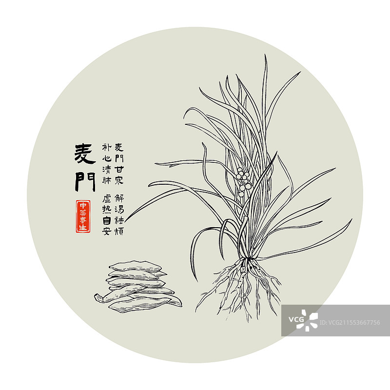 中药麦门黑白线条水墨风格图片素材