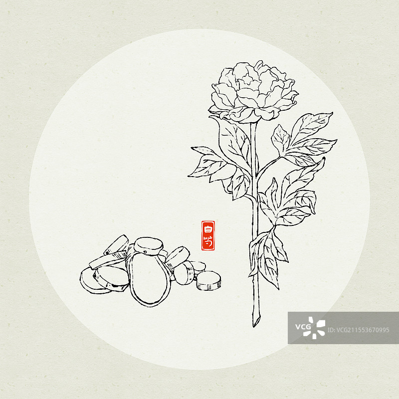 中药白芍水墨风线条插画图片素材