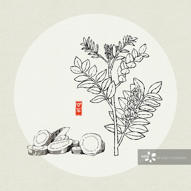 中药甘草水墨风线条插画图片素材
