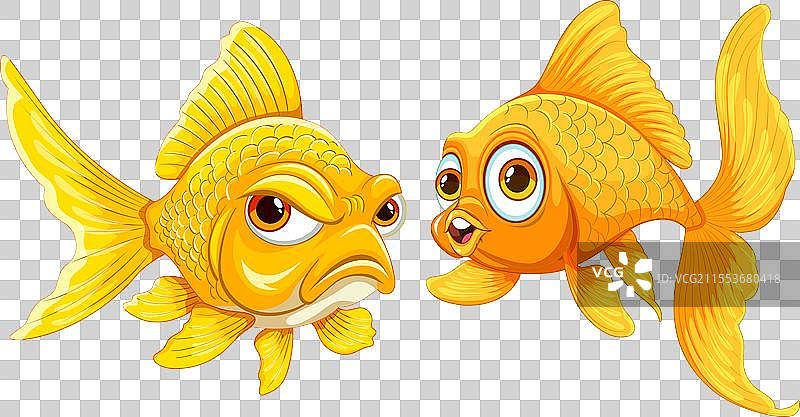 两只表情丰富的卡通金鱼图片素材