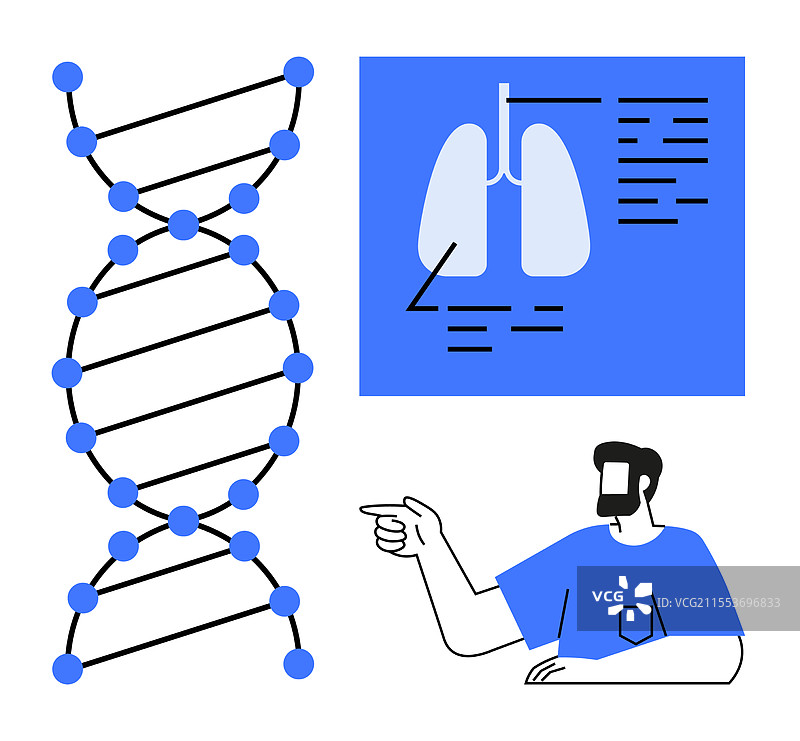简化的遗传结构与人体解剖学图片素材