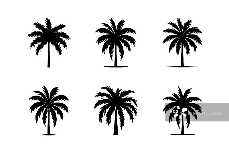 棕榈树标志图标集图片素材