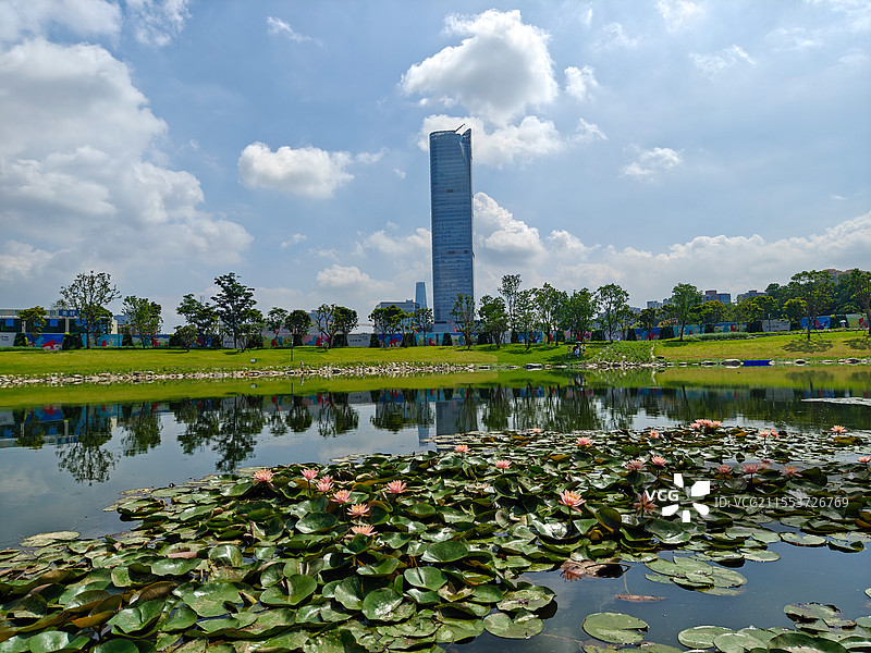 东莞中心公园湖里的周边风光图片素材
