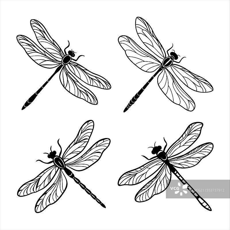 蜻蜓剪影图片素材