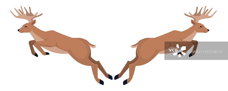 一对对称的雄伟跳跃的鹿图片素材