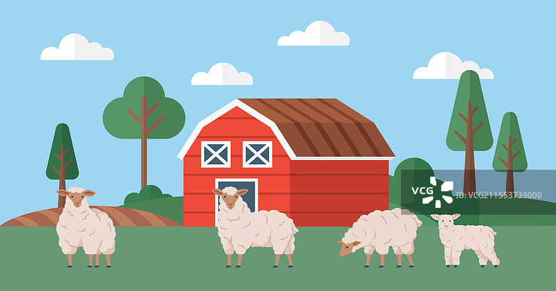 一群羊在房子附近的草坪上吃草图片素材