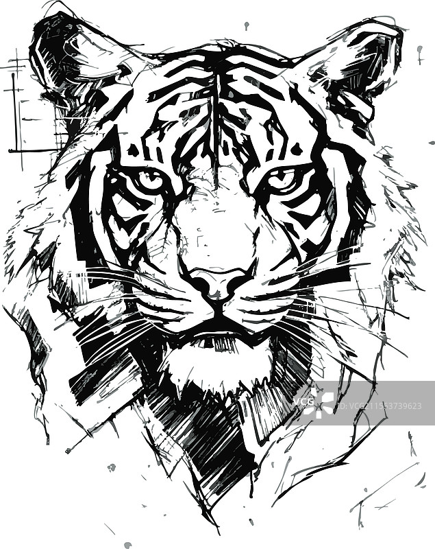 干净背景上的老虎面部绘画图片素材