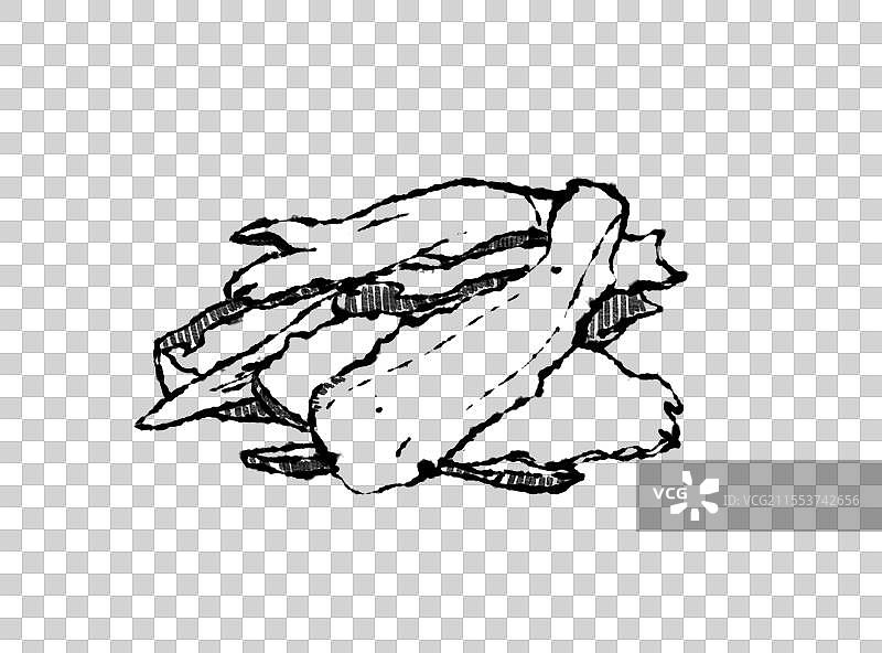 中药当归黑白线稿元素图片素材