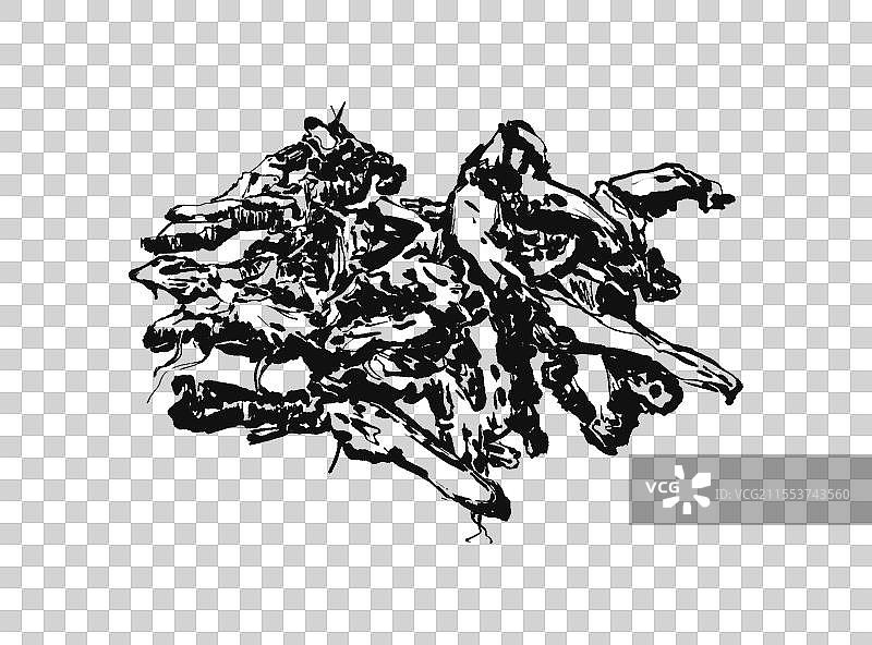 中药黄连黑白线稿元素图片素材