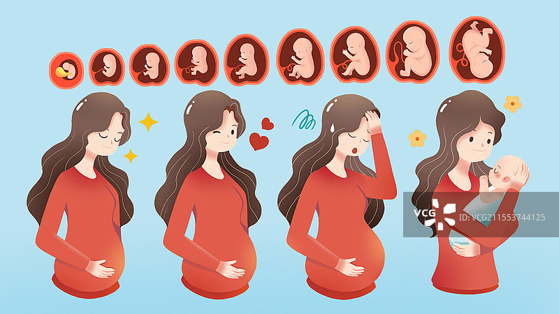 卡通孕妇孕期身体变化插画生育健康知识宣传教育图片素材