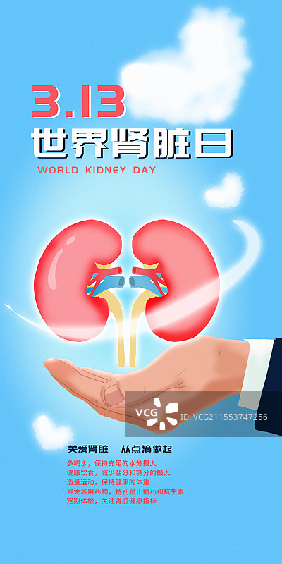 世界肾脏日易拉宝图片素材