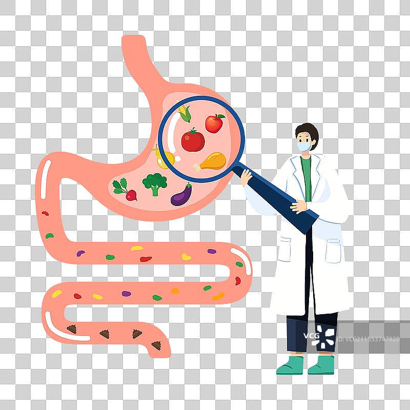 卡通扁平医生拿着放大镜介绍肠胃运转流程肠道健康世界肠道健康日图片素材