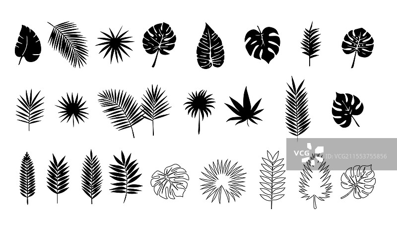 热带元素设计中的棕榈叶剪影图片素材