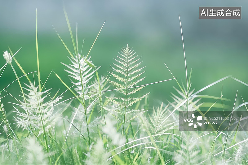 【AI数字艺术】绿野间的轻柔芒草图片素材