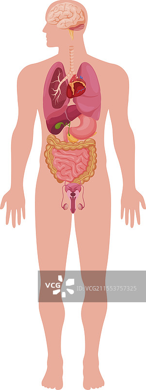 全面展示图片素材