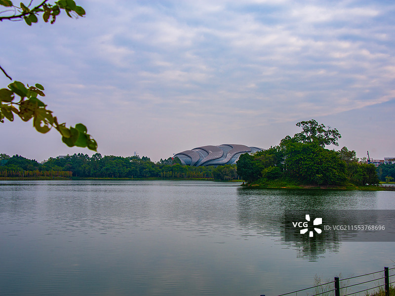 广州大学城中心湖    湖边的树和天空图片素材