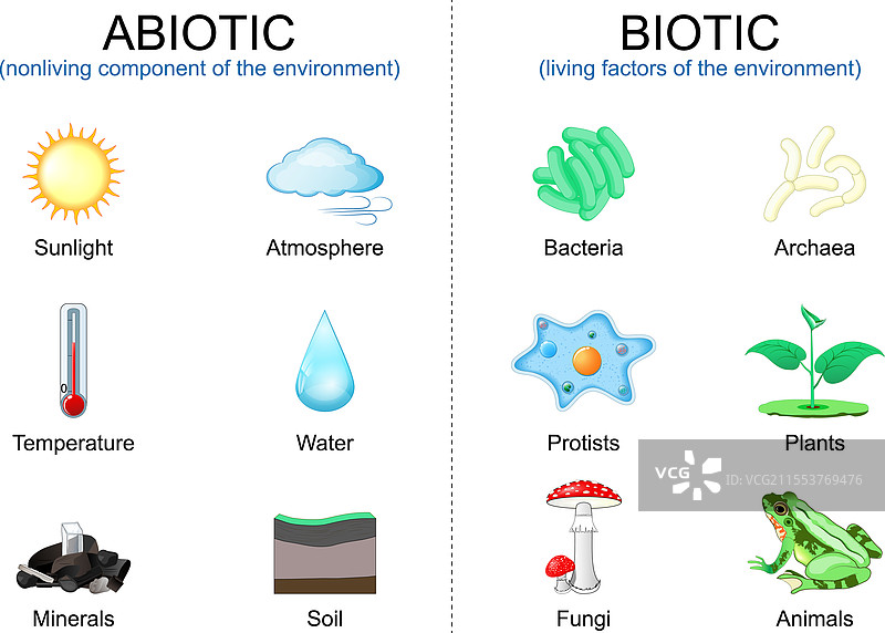 生物的生存因素和非生物的非生存因素图片素材
