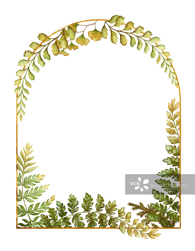 带有蕨类植物叶子的拱形框架植物卡片图片素材