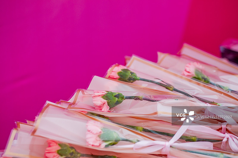 四川省绵阳市户外，白昼，浪漫，鲜花，春天，女神节，妇女节图片素材