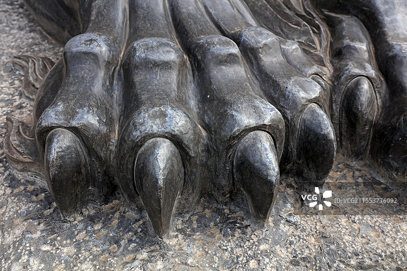 石狮子爪子图片素材