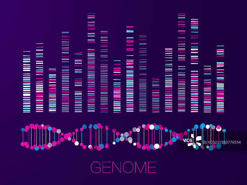 大型基因组数据可视化图片素材