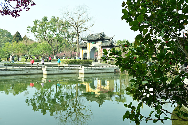 常州红梅公园图片素材