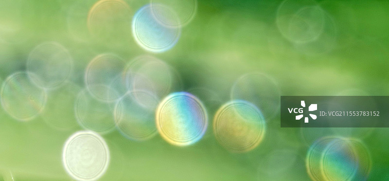 《捕光捉影》—— 安徽合肥环湖大道宁滩潮韵景点世界真奇妙，镜头下的精灵。图片素材