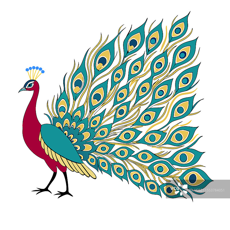 色彩斑斓的孔雀卡通宠物动物设计图片素材