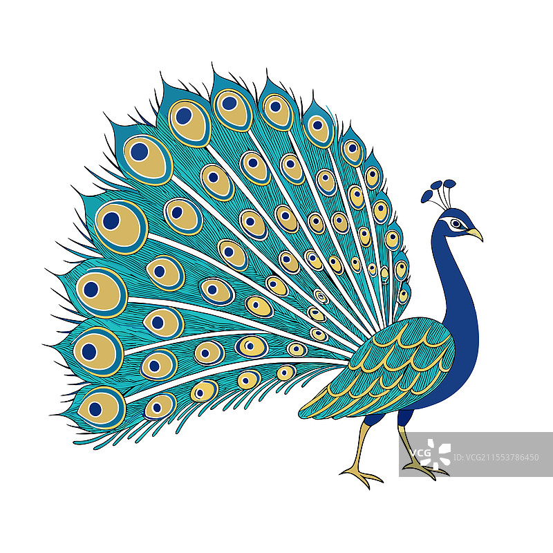 色彩斑斓的孔雀卡通宠物动物设计图片素材