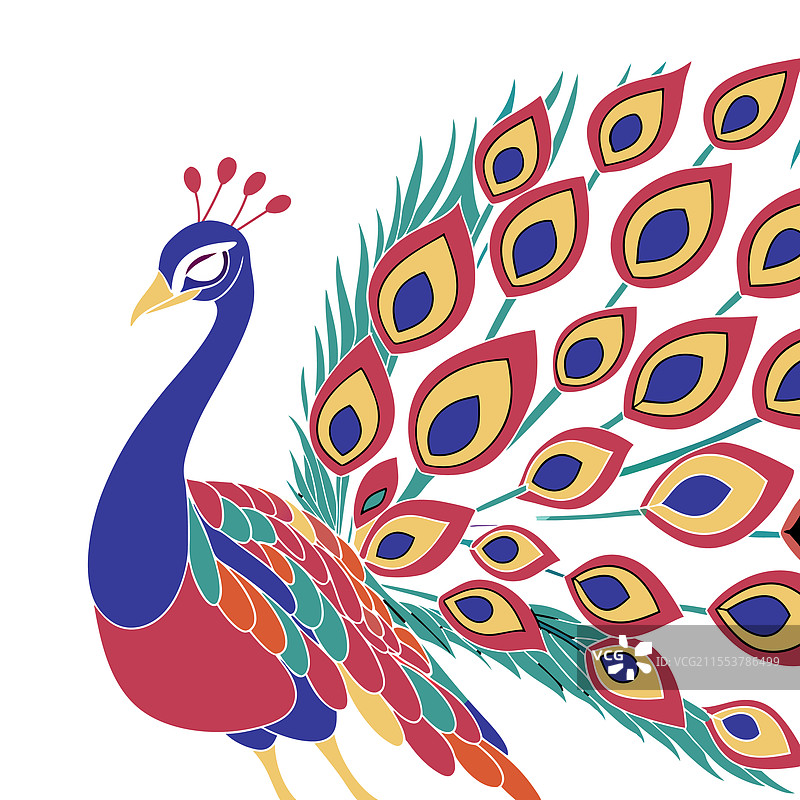 色彩斑斓的孔雀卡通宠物动物设计图片素材
