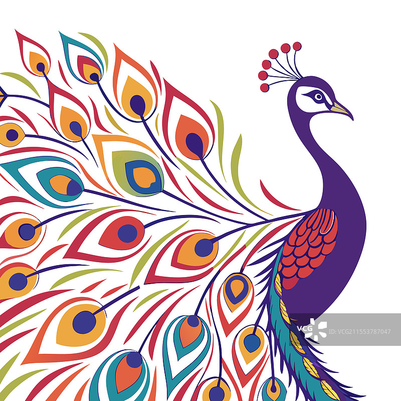 色彩斑斓的孔雀卡通宠物动物设计图片素材