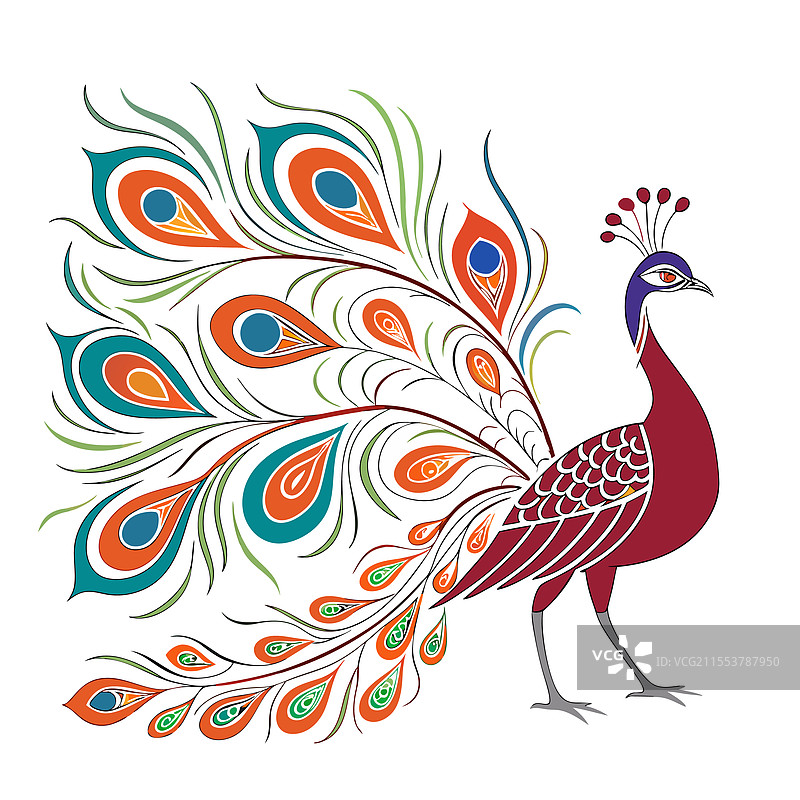 色彩斑斓的孔雀卡通宠物动物设计图片素材