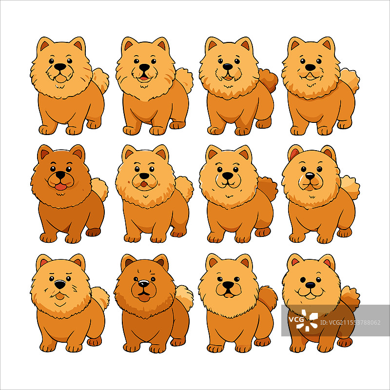 松狮犬图片素材