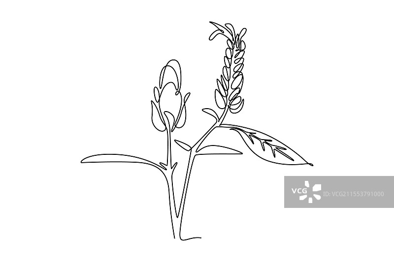 临时 - 新设计 6000 x 4000 像素图片素材