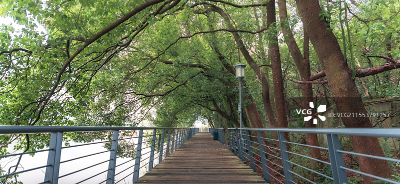 木质步道图片素材