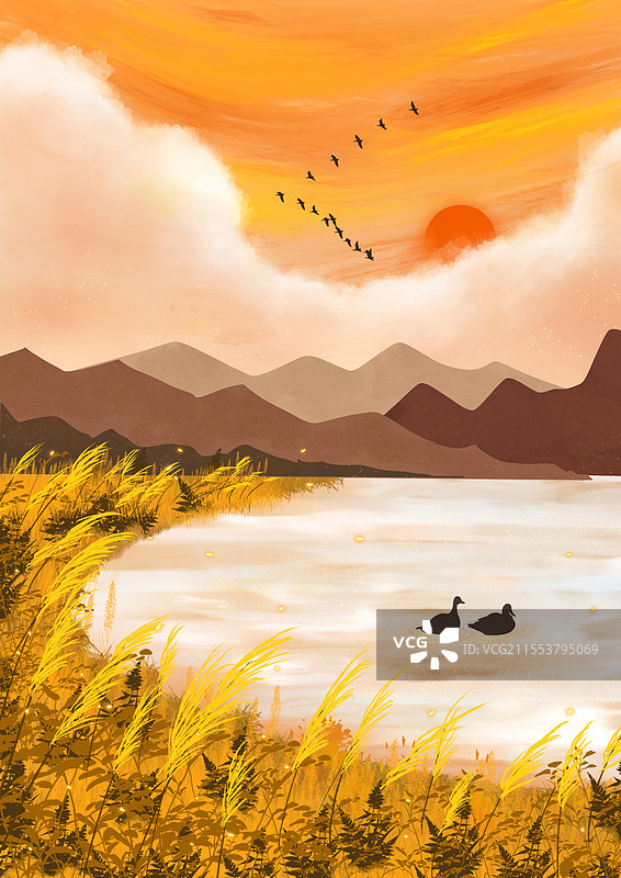 秋日黄昏，河边芦苇飘荡，鸭子在河里游泳图片素材