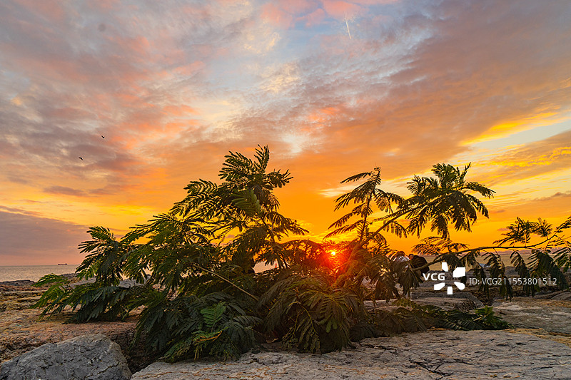 海边日落图片素材