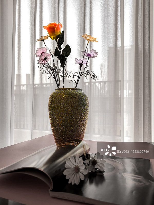 窗前花图片素材